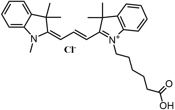 CY3-COOH.jpg