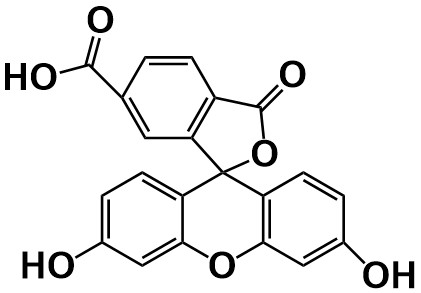 FITC-COOH.jpg