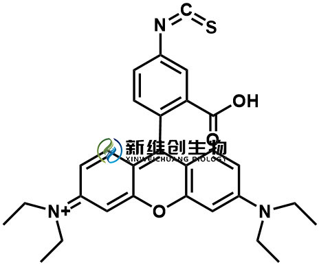 罗丹明异硫氰酸酯.jpg