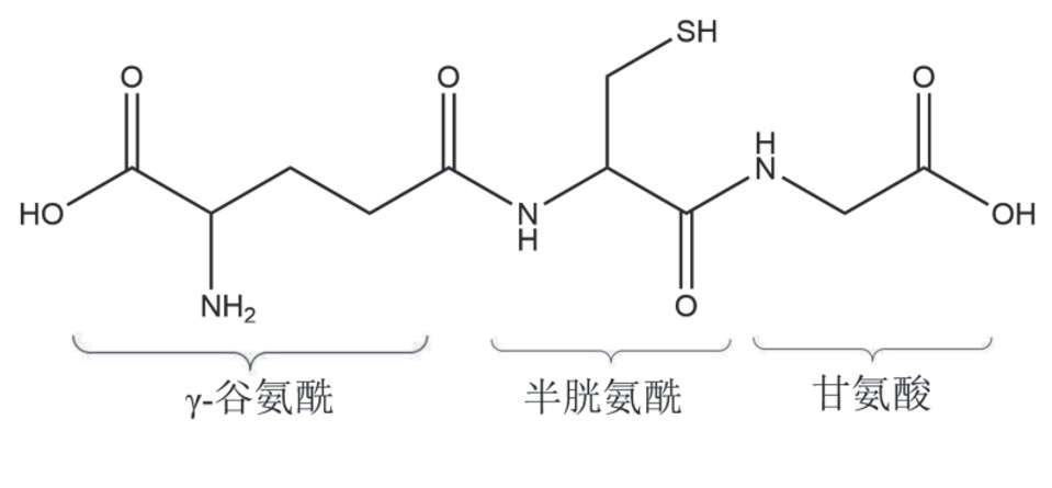 图片7878787.png