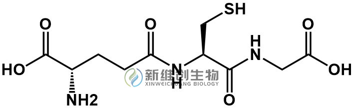 谷胱甘肽水印.jpg