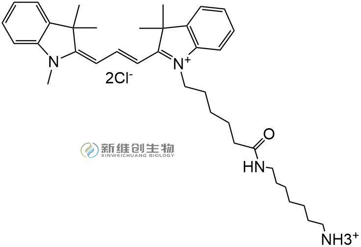 CY3-NH2.jpg