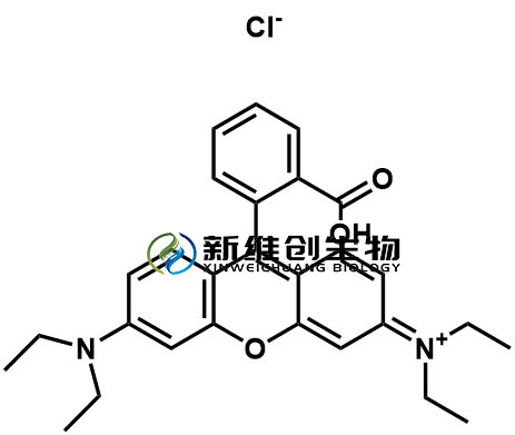 罗丹明.jpg