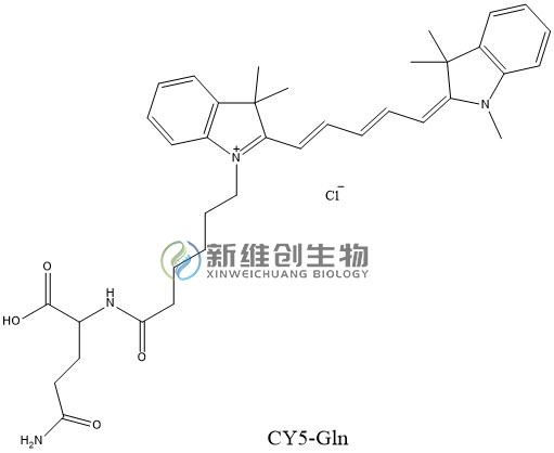 CY5-Gln.jpg