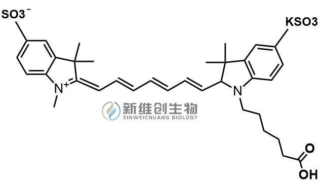 Sulfo-Cyanine7-COOH .jpg