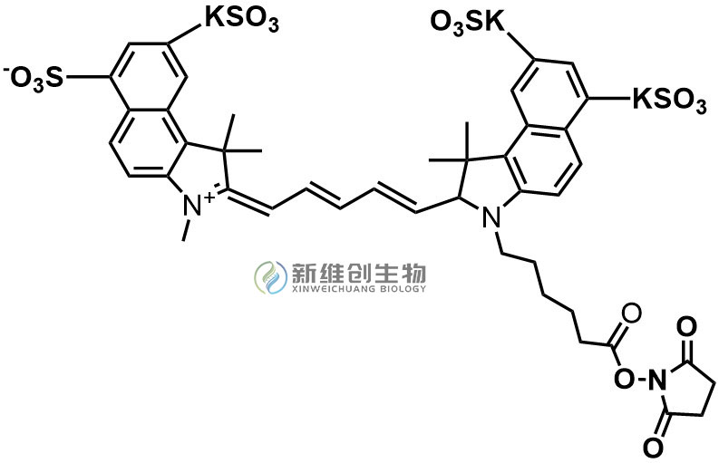 Sulfo-Cy5.5-NHS .jpg