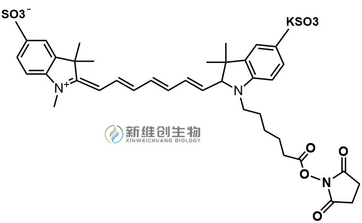 Sulfo-Cyanine7-NHS .jpg