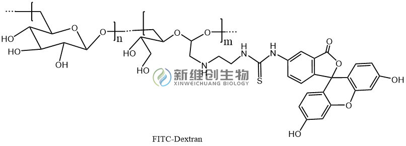 FITC-Dextran.jpg