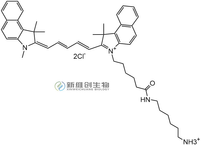 CY5.5-NH2.jpg