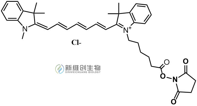 CY7-NHS.jpg