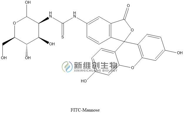 FITC-Mannose.jpg