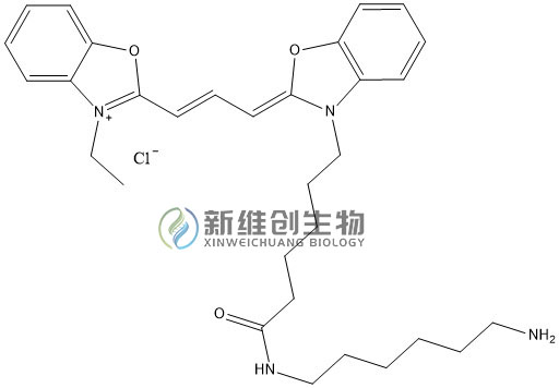 CY2-NH2水印.jpg