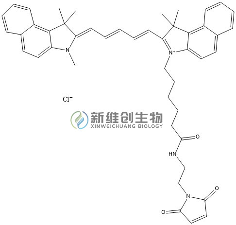 CY5.5-MAL水印.jpg