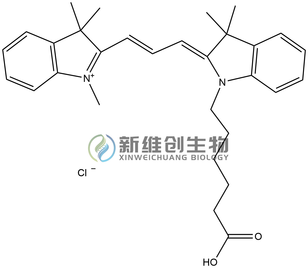 CY3-COOH水印.jpg