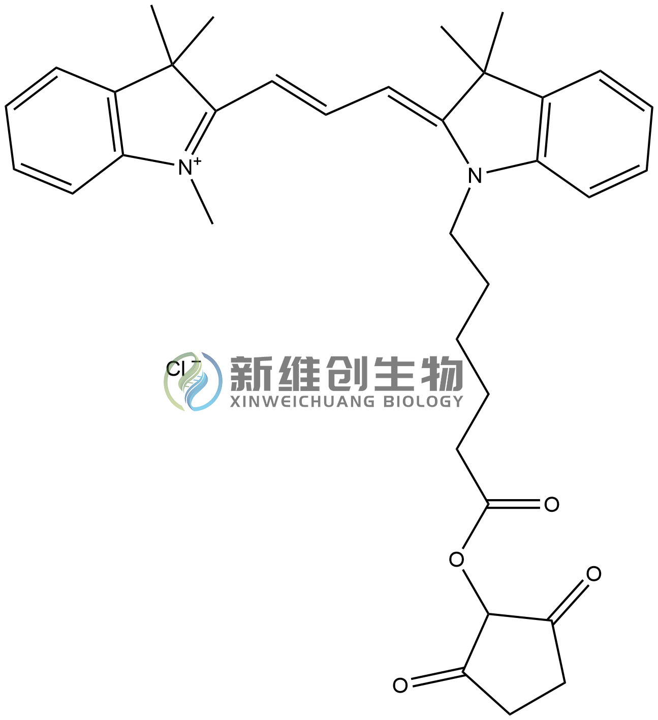 CY3-NHS水印.jpg