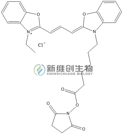 CY2-NHS水印.jpg