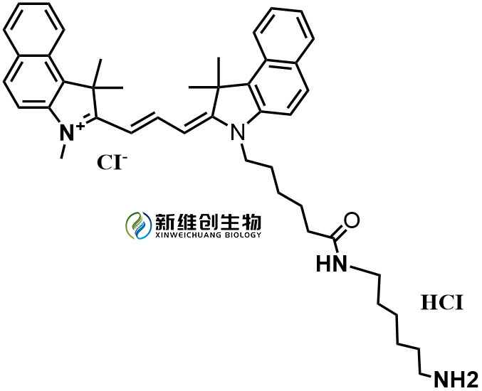 CY3.5-NH2.jpg
