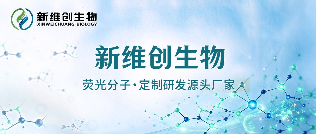 首图-改色.jpg